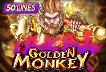 GOLDEN MONKEY