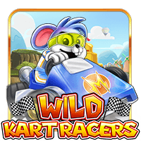 WILD KART RACERS